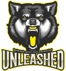 Unleashedapparel
